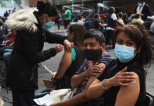 México buscará vacunas anti covid para niños de Covax Vacunación