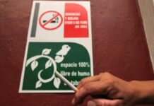 Solo 50% de negocios acatan disposiciones sobre anti tabaco