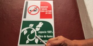 Solo 50% de negocios acatan disposiciones sobre anti tabaco