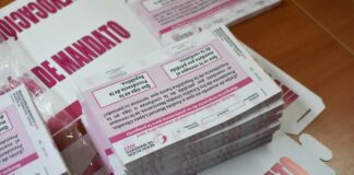 Más 3 mil mexicanos en el extranjero participan en la revocación Zapata