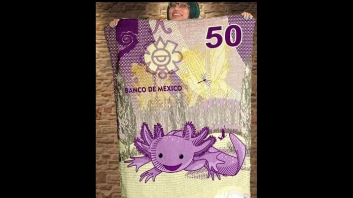 ajolote