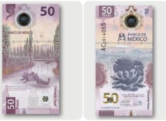 Nombran al billete de 50 pesos del ajolote el más bonito del mundo