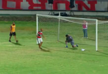 Hincha brasileño se baja de las gradas para “enseñar” a atajar a portero