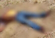 Desollado, hallan cadáver de joven desaparecido en Triángulo Rojo Autoridades ministeriales llevaron el cadáver al anfiteatro para esclarecer el móvil del homicidio de este joven.