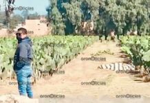 Hallan cadáver encobijado en campos de Coronango Cadáver