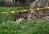 Cadáveres calcinados son hallados en terreno de Texmelucan cadáveres