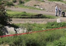 Encuentran 11 cuerpos en fosa clandestina en Michoacán cuerpos