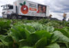 ¡Cuidado! Estafadores se hacen pasar por Banco de Alimentos José Miguel Rojas Vertiz, Director General Banco de Alimentos Caritas Puebla, pidió a la población tener cuidado con estas estafas.