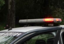 Golpean a dos sujetos en cultivo de Atlixco; uno murió Cultivo