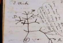 Devuelven cuadernos robados de Charles Darwin 20 años después Darwin