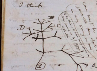 Devuelven cuadernos robados de Charles Darwin 20 años después Darwin