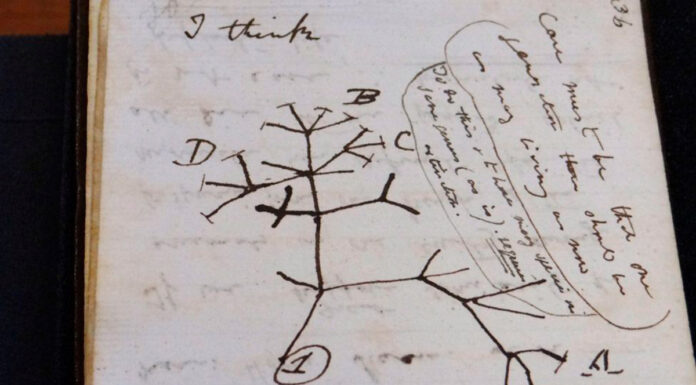 Devuelven cuadernos robados de Charles Darwin 20 años después Darwin