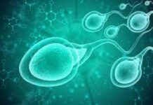 Crean chip para elegir espermatozoides sanos