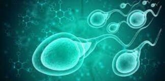 Crean chip para elegir espermatozoides sanos