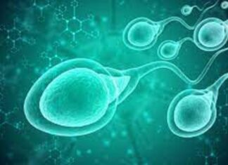 Crean chip para elegir espermatozoides sanos