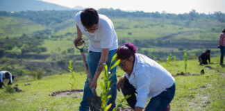 BUAP invita a voluntariado de reforestación y cuidado ambiental Buap