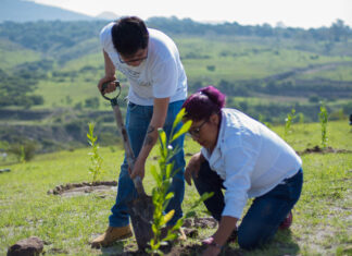 BUAP invita a voluntariado de reforestación y cuidado ambiental Buap