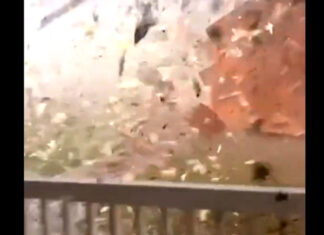 ¡Impresionante! Así de cerca filmó un hombre un tornado en Georgia tornado