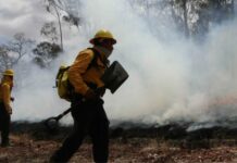Reportan 151 hectáreas afectadas por incendio en Francisco Z. Mena