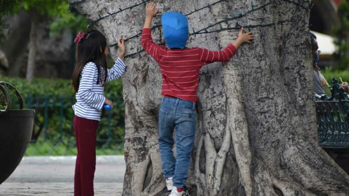 Niños