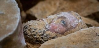 Hallan misterioso sarcófago en Catedral de Notre-Dame Notre-Dame