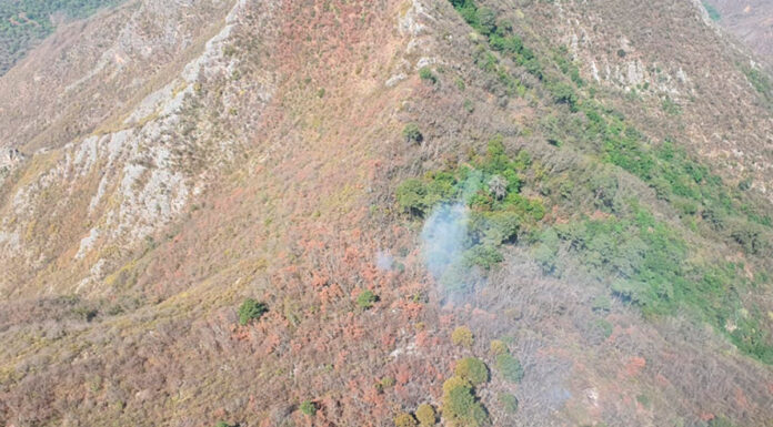 ‘Bombardean’ nubes en Nuevo León para sofocar incendios Nuevo León