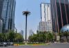 Retiran palmera centenaria del Paseo de la Reforma palmera