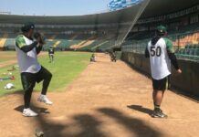 Pericos cambia de horario en juegos de Torneo Interliga