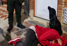 Lomito cuida a su dueño que se quedó dormido en la banqueta lomito