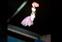 Quinceañera “baja del cielo” en una grúa y se viraliza quinceañera