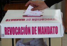 Revocación de mandato es inválida por poca participación: TEPJF