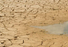 Declaran emergencia por sequía en California California sequía agua