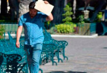 Prevén temperaturas mayores a 40° en 14 estados del país temperaturas
