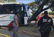 Transporte se estrella contra árbol en bulevar Norte; hay 14 lesionados transporte