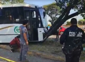 Transporte se estrella contra árbol en bulevar Norte; hay 14 lesionados transporte