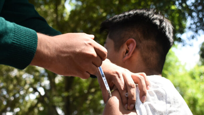 unidades Las 767 unidades estarán distribuidas en todo el estado y funcionarán en un horario de 08:00 a 17:00 horas.