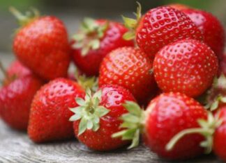 Fresas contaminadas provocan hepatitis A en EU y Canadá