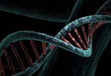 Banco de ADN de agresores sexuales se encuentra en última fase Banco de ADN