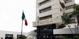 CNDH pide incluir a Ciro Gómez Leyva en protocolo de protección a periodistas Cecilia