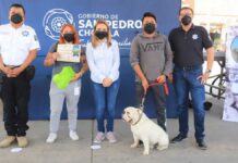 Reconocen a participantes de “Entrena a tu Lomito” en Cholula Cholula
