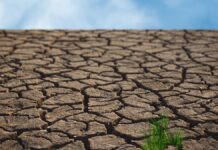Edomex suma 48 municipios en sequía Edomex