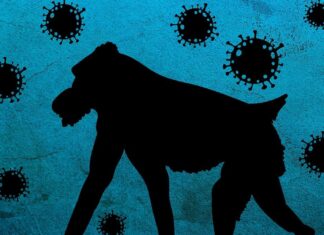 Activa Edomex protocolos contra Viruela del Mono Edomex