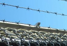 Jesús Fulgencio irá 8 años a prisión; prostituyó a su pareja Jesús