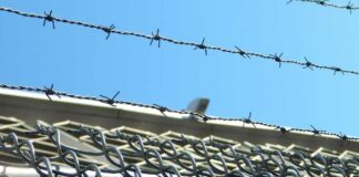 Jesús Fulgencio irá 8 años a prisión; prostituyó a su pareja Jesús