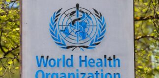 Gripe aviar podría desencadenar nueva pandemia, advierte OMS OMS