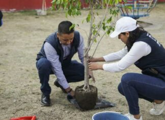 Ayuntamiento de San Andrés Cholula lleva a cabo jornada de Reforestación San Andrés Cholula