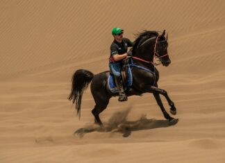 Por primera vez, un mexicano participará en la Copa Tom Quilty del Endurance Ecuestre