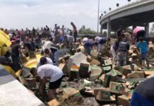 Saquean tráiler de cervezas volcado en Circuito Exterior Mexiquense