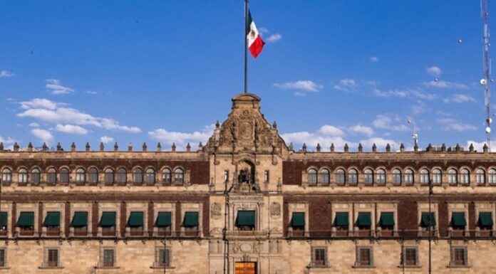 Lanza Presidencia licitación para acabar con plagas nocivas