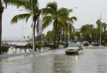 ‘Agatha’ dejó 2 muertos y 7 desaparecidos en Oaxaca: Protección Civil Alejandro Murat, gobernador de Oaxaca, informó que tras su paso, Agatha no dejó pérdidas humanas en el estado.